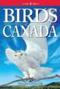 Birds Of Canada - Preview
