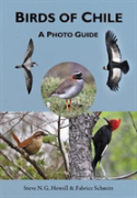 Birds Of Chile