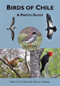 Birds Of Chile - Preview