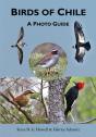 Birds Of Chile - Preview