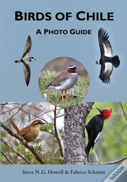 Capa do artigo Birds Of Chile