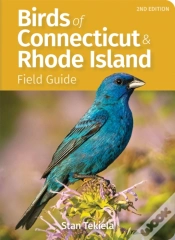 Capa do artigo Birds Of Connecticut Field Guide