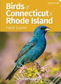Capa do artigo Birds Of Connecticut Field Guide