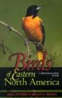 Birds Of Eastern North America - Preview