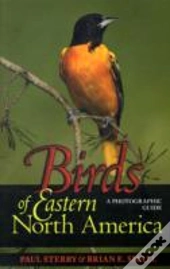 Birds Of Eastern North America
