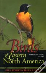 Capa do artigo Birds Of Eastern North America