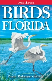 Birds Of Florida