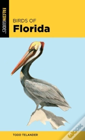 Birds Of Florida