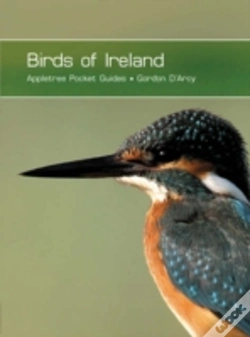Capa do artigo Birds Of Ireland