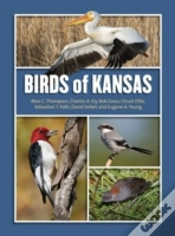 Capa do artigo Birds Of Kansas