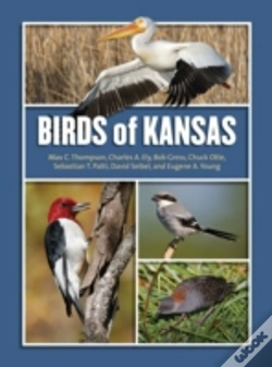 Capa do artigo Birds Of Kansas