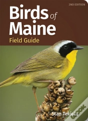 Capa do artigo Birds Of Maine Field Guide