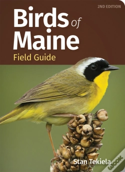 Capa do artigo Birds Of Maine Field Guide