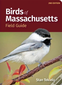 Capa do artigo Birds Of Massachusetts Field Guide