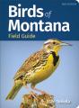 Birds Of Montana Field Guide - Preview