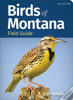 Capa do artigo Birds Of Montana Field Guide