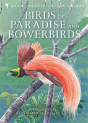 Birds Of Paradise And Bowerbirds - Preview