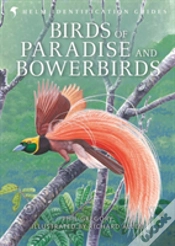 Capa do artigo Birds Of Paradise And Bowerbirds