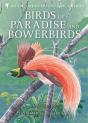Birds Of Paradise And Bowerbirds - Preview