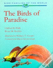 Birds Of Paradise