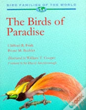 Capa do artigo Birds Of Paradise