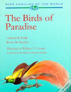 Capa do artigo Birds Of Paradise