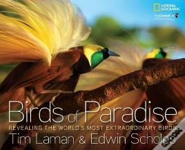 Birds Of Paradise