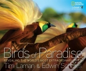 Birds Of Paradise