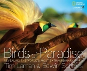 Capa do artigo Birds Of Paradise