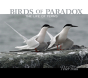 Birds Of Paradox - Preview