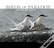 Capa do artigo Birds Of Paradox