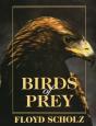 Birds Of Prey - Preview