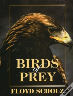 Capa do artigo Birds Of Prey
