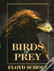 Capa do artigo Birds Of Prey