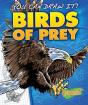 Birds Of Prey - Preview