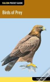Capa do artigo Birds Of Prey