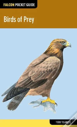 Capa do artigo Birds Of Prey