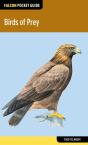 Birds Of Prey - Preview