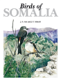 Birds Of Somalia - Preview