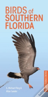 Birds Of Southern Florida