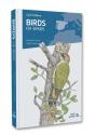 Birds Of Spain. 2nd Edition - Preview