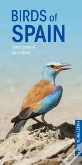 Birds Of Spain