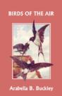 Birds Of The Air (Yesterday'S Classics) - Preview