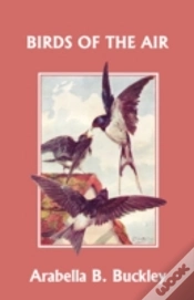 Capa do artigo Birds Of The Air (Yesterday