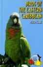 Birds Of The Eastern Caribbean - Preview