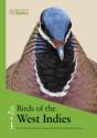 Birds Of The West Indies - Preview