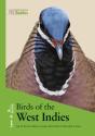 Birds Of The West Indies - Preview