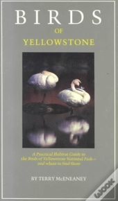 Birds Of Yellowstone