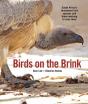 Birds On The Brink - Preview