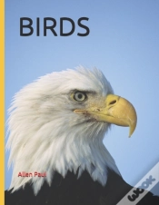 Capa do artigo Birds